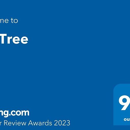 Fig Tree Apartment Povlja  Ngoại thất bức ảnh