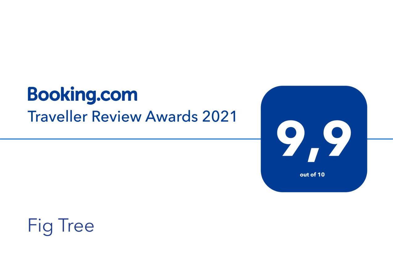 Fig Tree Apartment Povlja  Ngoại thất bức ảnh