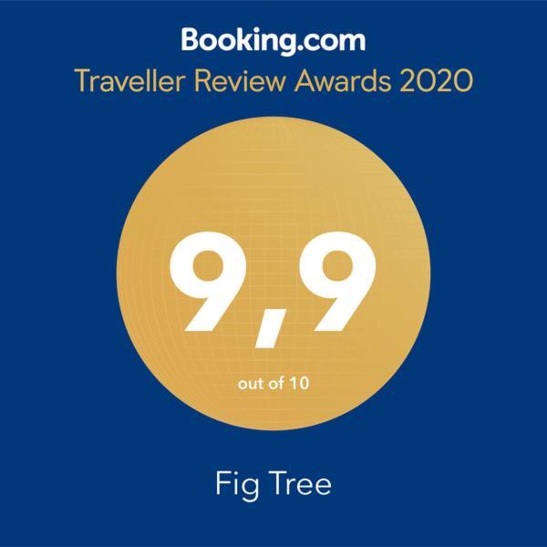 Fig Tree Apartment Povlja  Ngoại thất bức ảnh
